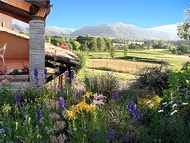 Au Jardin de Flore. Alpes de Haute Provence