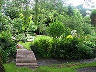 chez Denise, le jardin, les limns nettoyeurs