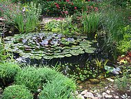 chez Denise, le jardin, la mare