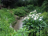 chez Denise, jardin zen