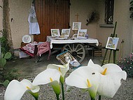 chez Martine, jardin dans la maison