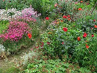 chez Martine, les massifs