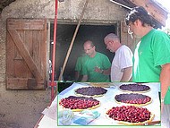 fte des cerises St Jean de Moirans