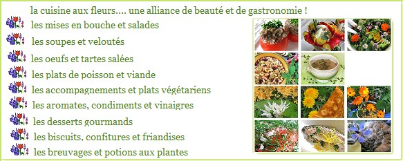 la cuisine de Flore.... une alliance de beaut et de gastronomie ! 