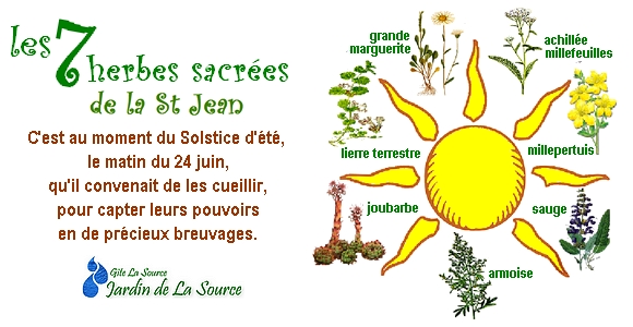 les herbes sacres de la St Jean.