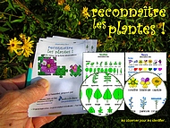 reconnatre les plantes, mthode d'observation