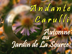 Andante de Carulli