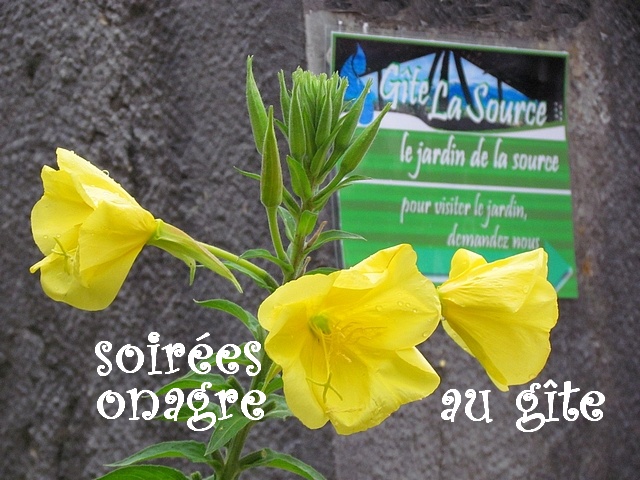 soires onagre au gte