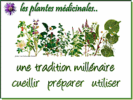 Nos anctres...les Gaulois tudiaient la botanique et en tiraient les recettes miracles...