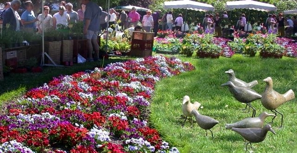 foires et marchs aux fleurs